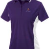 Charles River Ladies Color Blocked Wicking Polo