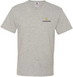 Fruit Of The Loom HD Cotton V-Neck T-Shirt