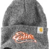 Carhartt Watch Cap 2.0