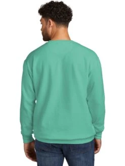 Comfort Colors Ring Spun Crewneck Sweatshirt -Thread Logic Store Comfort Colors Ring Spun Crewneck Sweatshirt 12