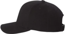 Flexfit 110 Mini-Piqué Cap -Thread Logic Store Flexfit 110r Mini Pique Cap 2
