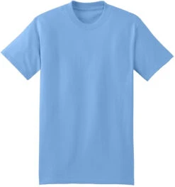 Hanes Beefy-T 100% Cotton T-Shirt -Thread Logic Store Hanes Beefy T 100 Cotton T Shirt Carolina Blue S 13