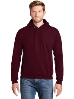 Hanes EcoSmart Pullover Hooded Sweatshirt 31 Hanes EcoSmart Pullover Hooded Sweatshirt -Thread Logic Store Hanes EcoSmart Pullover Hooded Sweatshirt 11