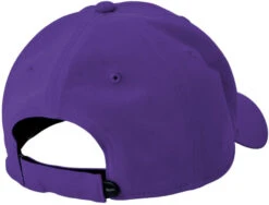 Nike Dri-FIT Legacy Cap 36 Nike Dri-FIT Legacy Cap -Thread Logic Store NKFB6447 courtpurple flat back